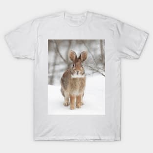 Eastern Cottontail Rabbit T-Shirt